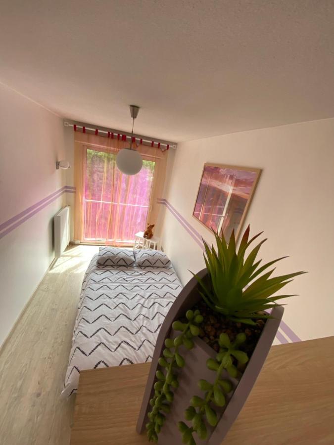 Ferienwohnung Decouvrez Le Charme Au Coeur De Gap Exterior foto